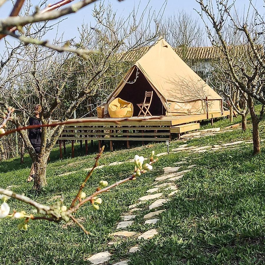 The Far End Surf House - Surf & Yoga Holidays 劳林哈 外观 照片